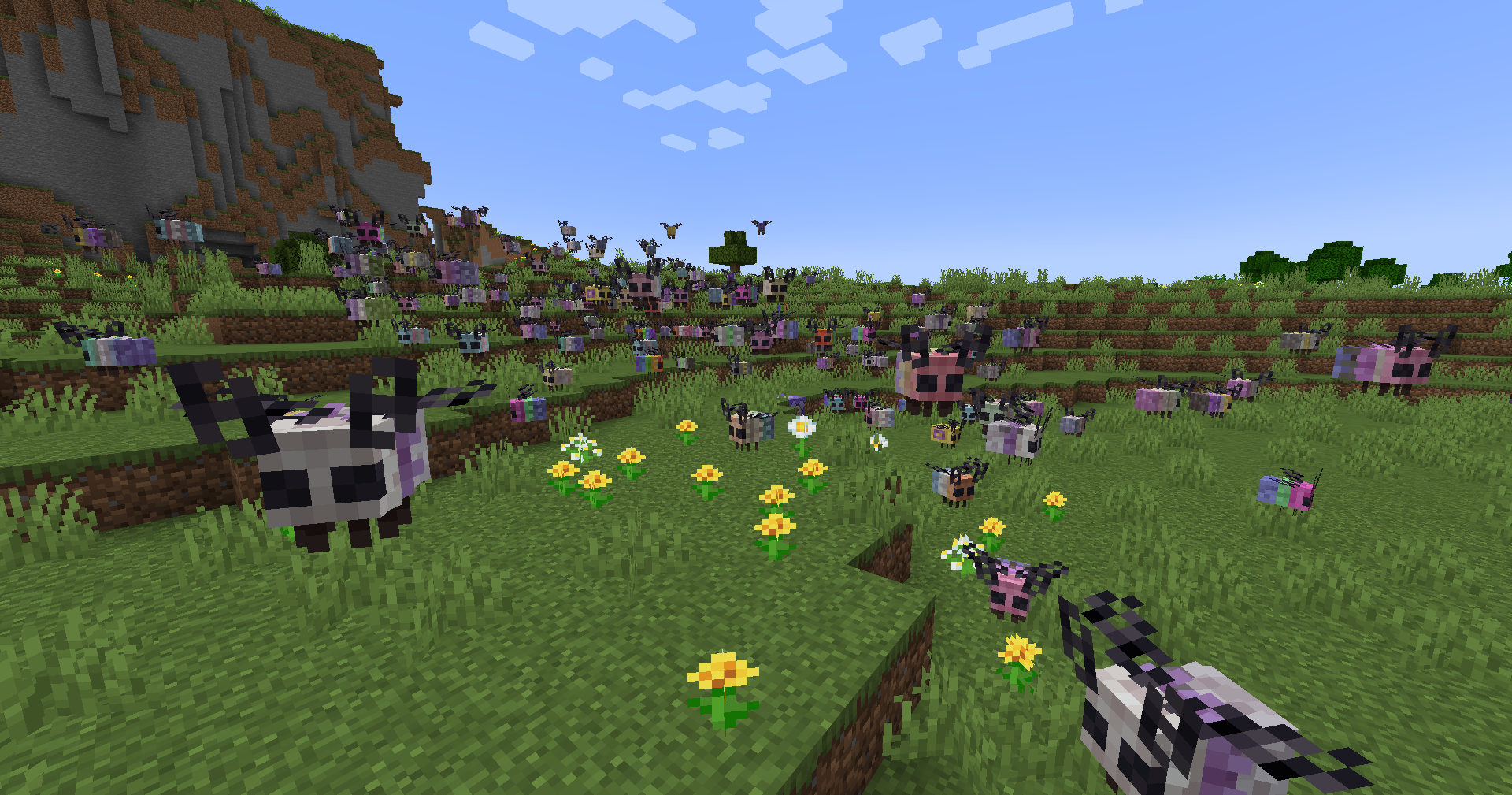 A whole herd of gay moths flying around